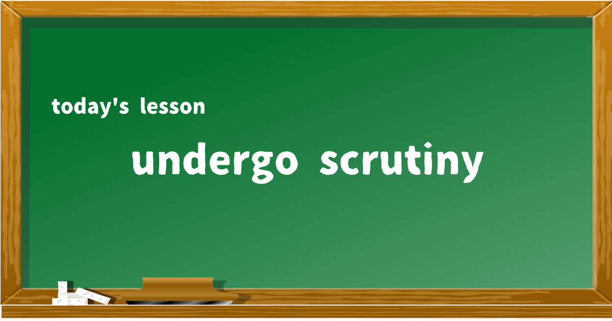 undergo scrutiny