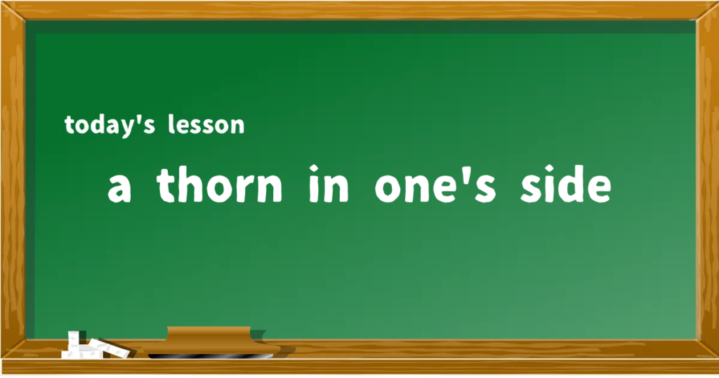 「a thorn in one's side」の意味と使い方を解説