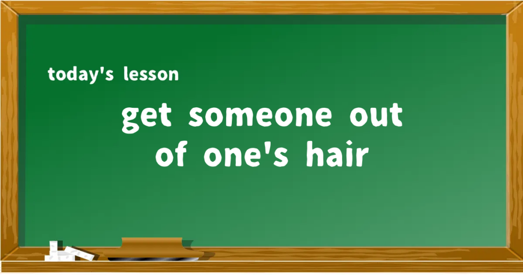 「get someone out of one's hair」の意味と使い方を解説