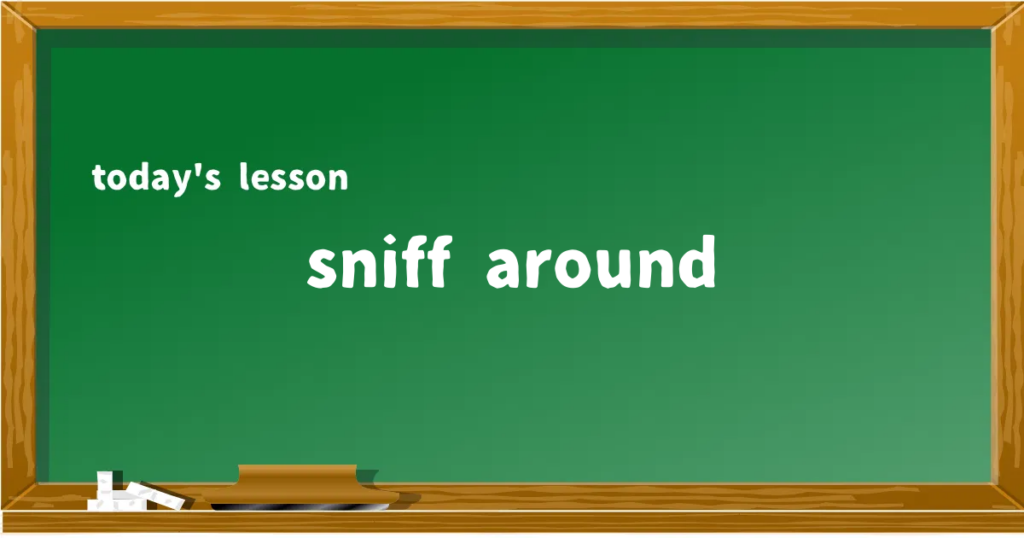 「sniff around」の意味と使い方を解説
