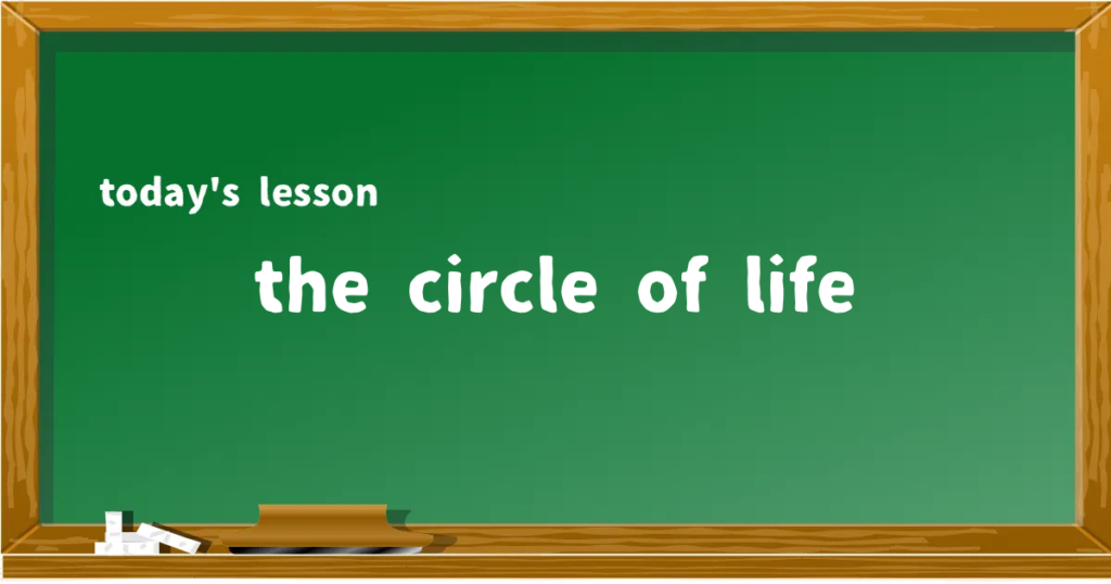 「the circle of life」の意味と使い方を解説