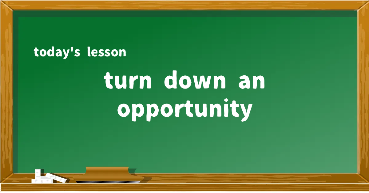 「turn down an opportunity」の意味と使い方を解説