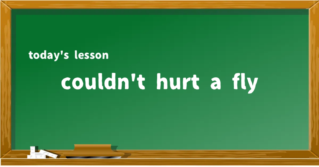 「couldn't hurt a fly」の意味と使い方を解説