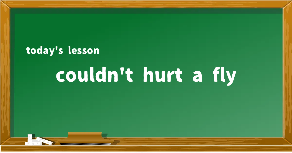 「couldn't hurt a fly」の意味と使い方を解説