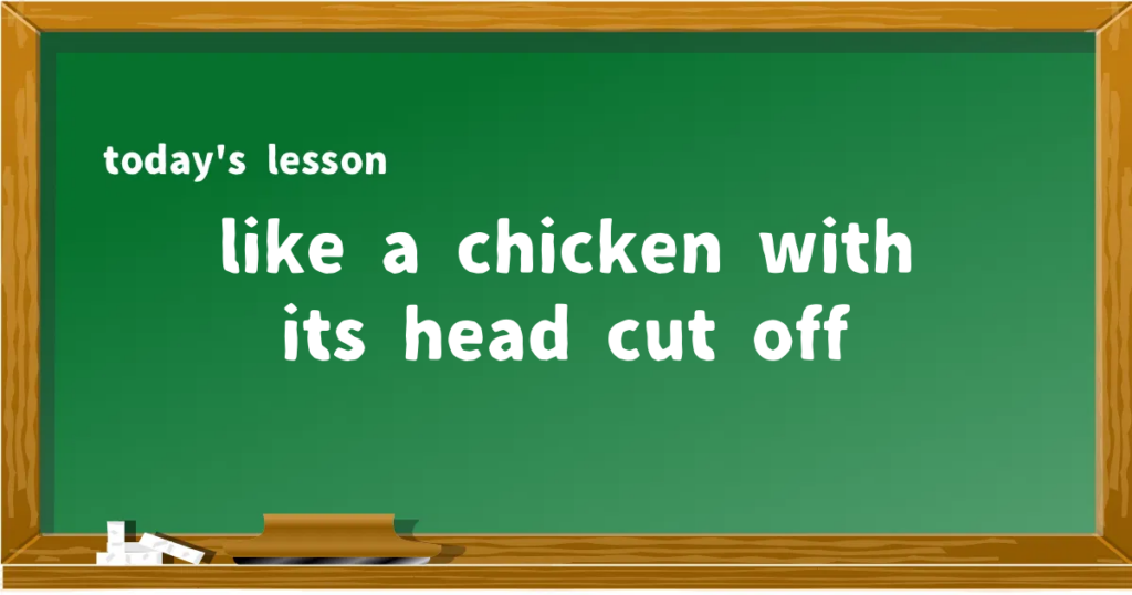 「like a chicken with its head cut off」の意味と使い方を解説
