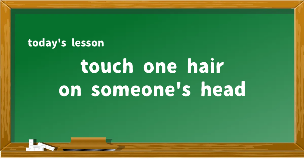 「touch one hair on someone's head」の意味と使い方を解説