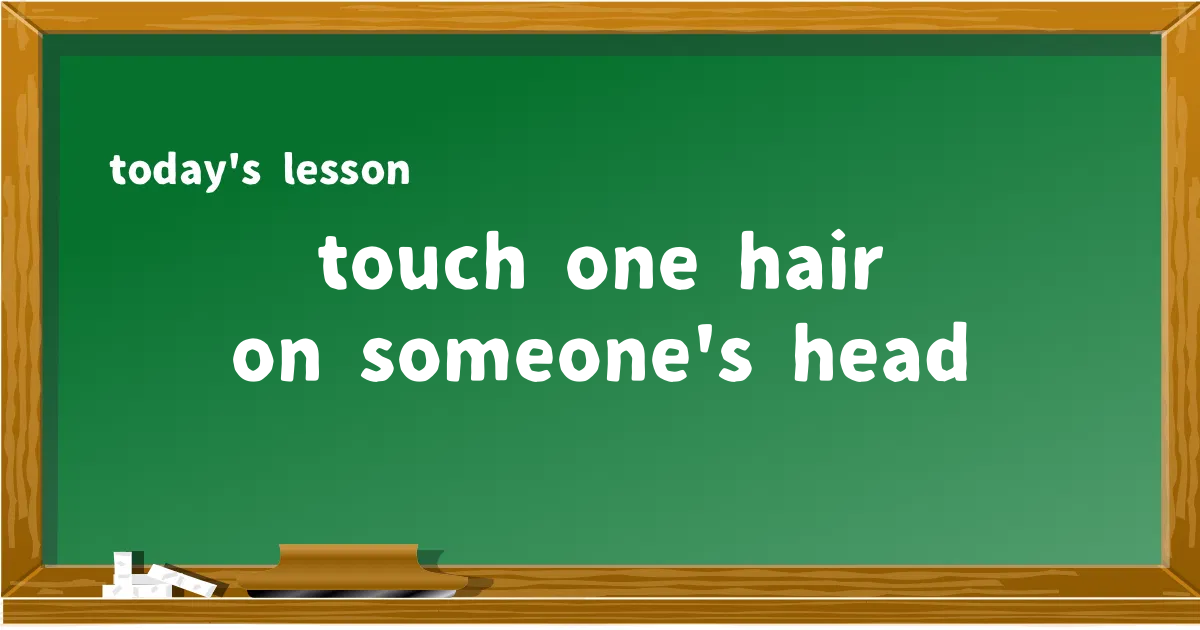 「touch one hair on someone's head」の意味と使い方を解説