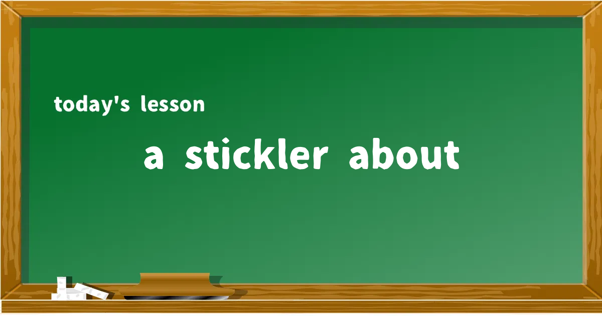 「a stickler about」の意味と使い方を解説