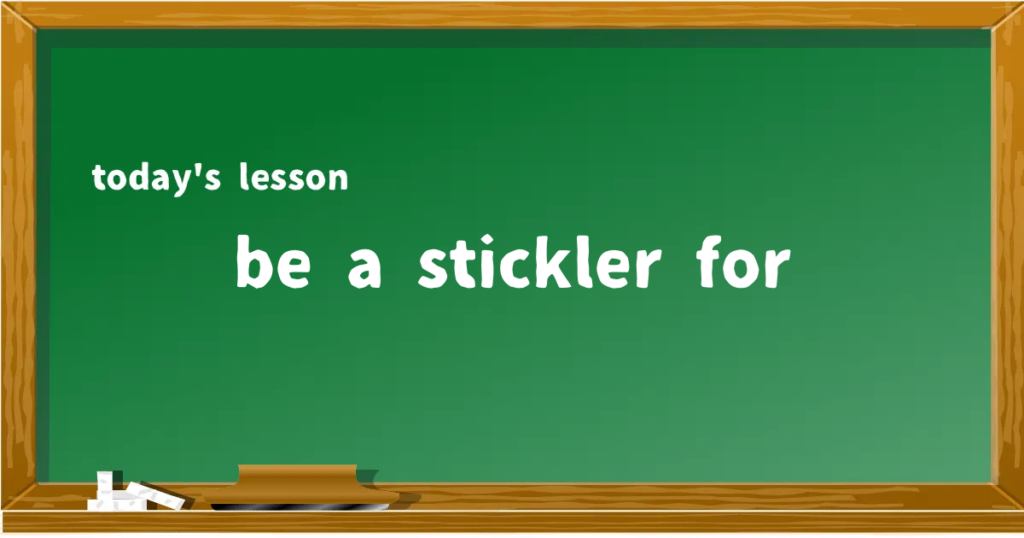 「be a stickler for」の意味と使い方を解説