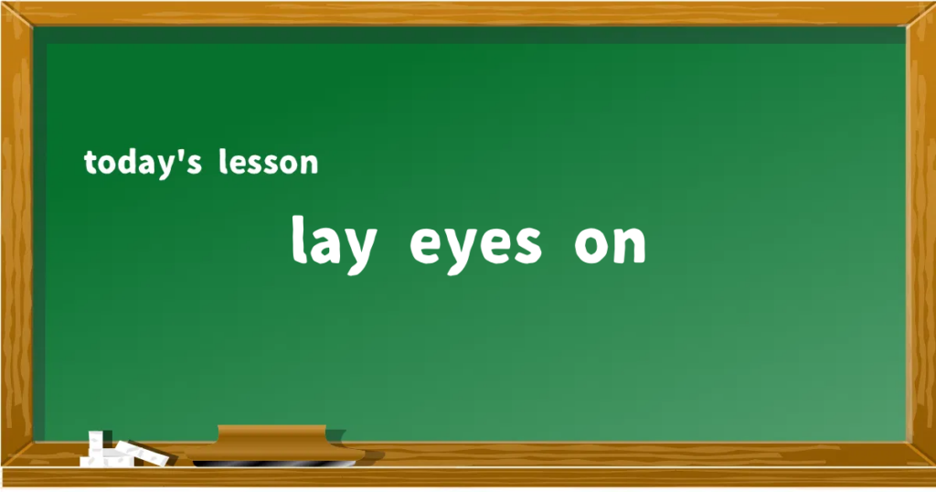 「lay eyes on」の意味と使い方を解説