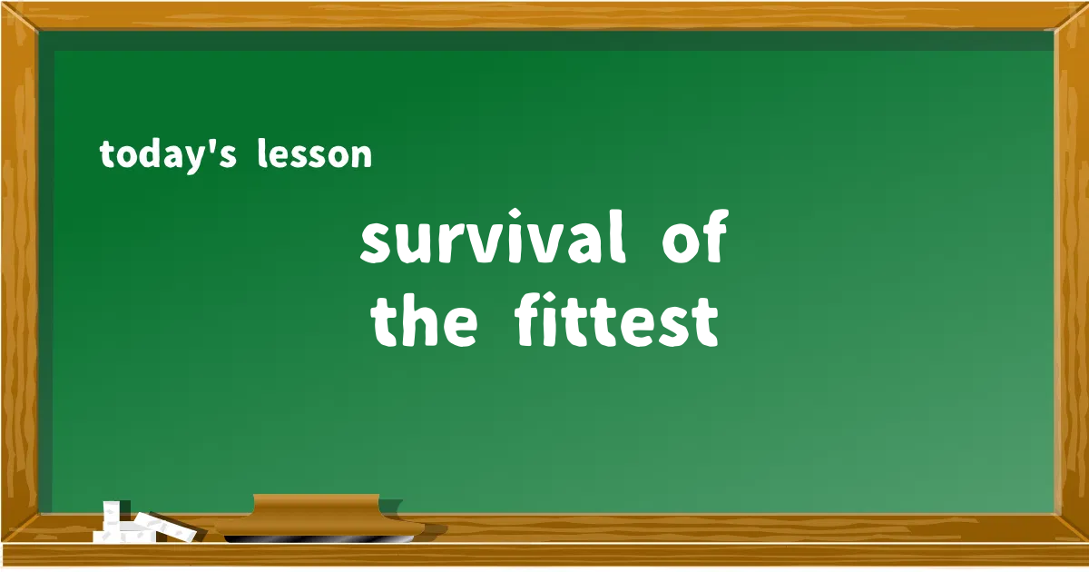 「survival of the fittest」の意味と使い方を解説