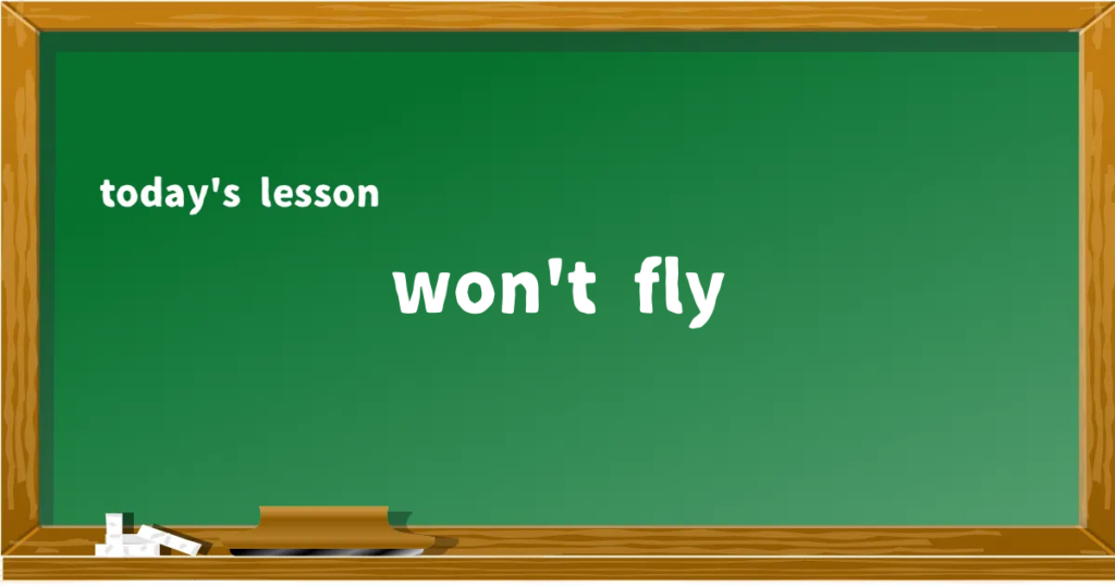 「won't fly」の意味と使い方を解説