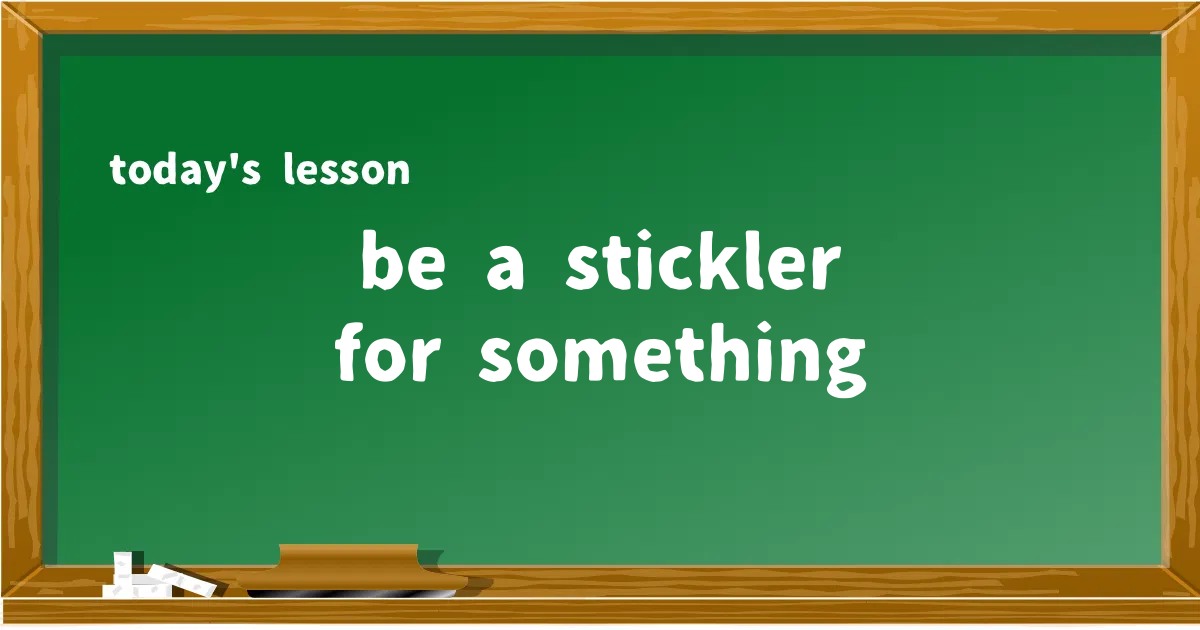 「be a stickler for something」の意味と使い方を解説
