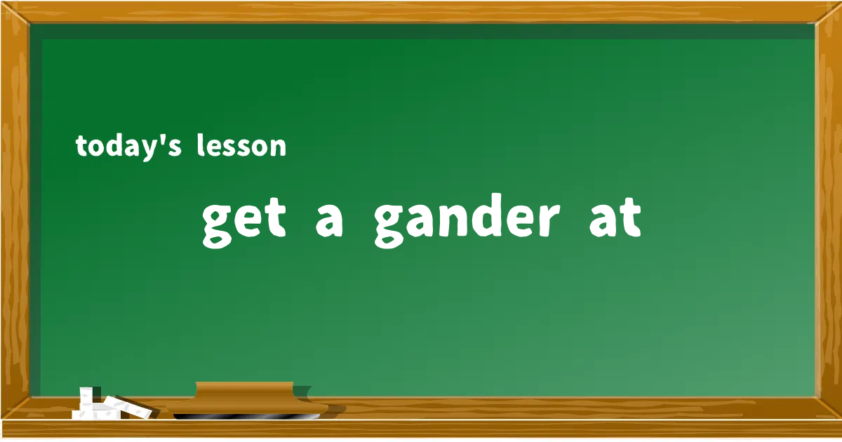 「get a gander at」の意味と使い方を解説