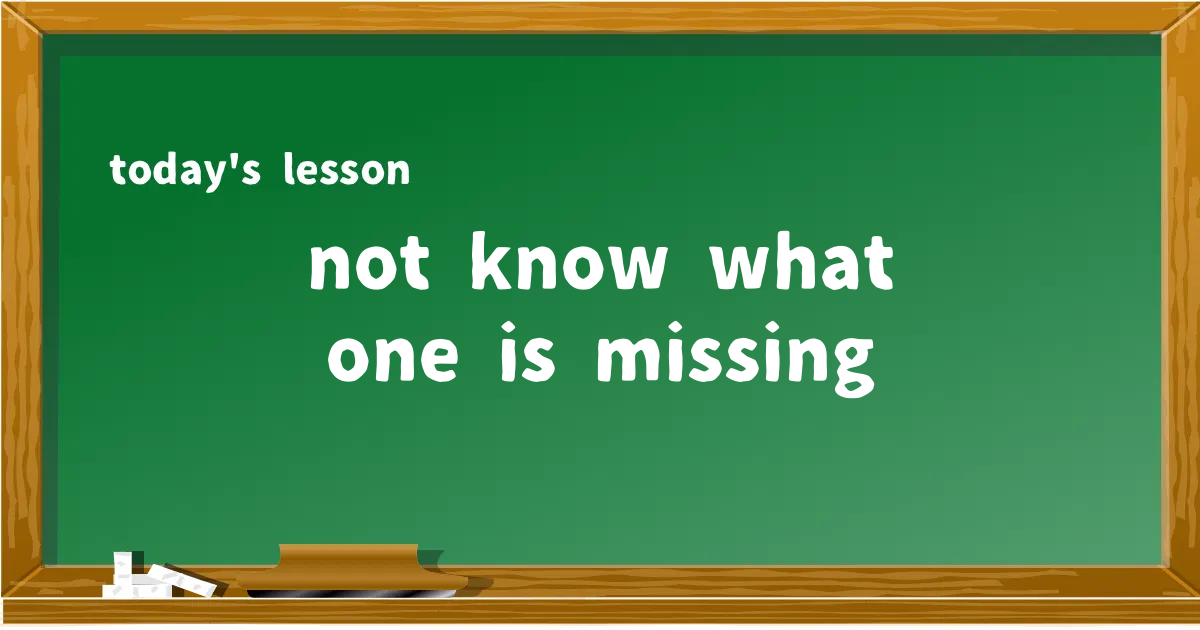 「not know what one is missing」の意味と使い方を解説
