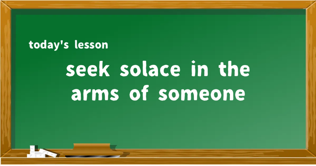 「seek solace in the arms of someone」の意味と使い方を解説