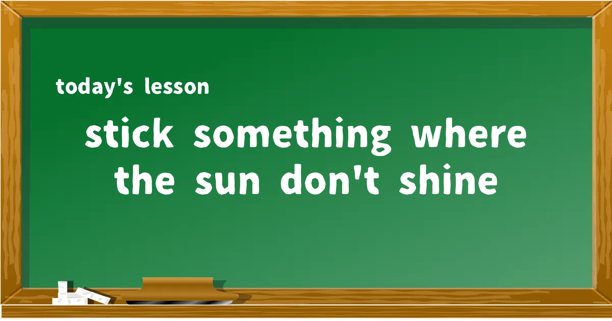 「stick something where the sun don't shine」の意味と使い方を解説