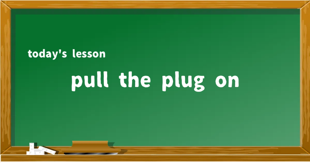 「pull the plug on」の意味と使い方を解説